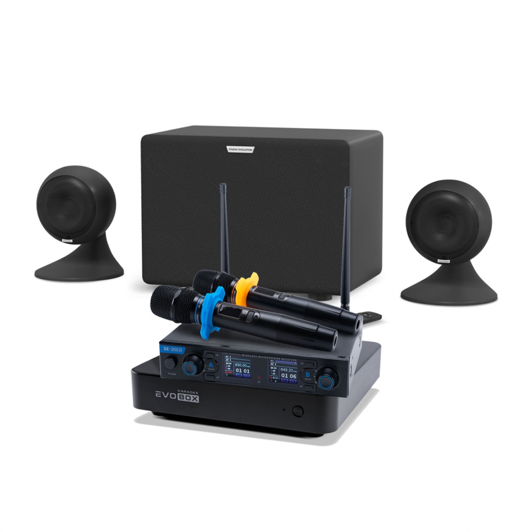 караоке-комплект EVOBOX + EvoSound Sphere 2.1 в Липецке