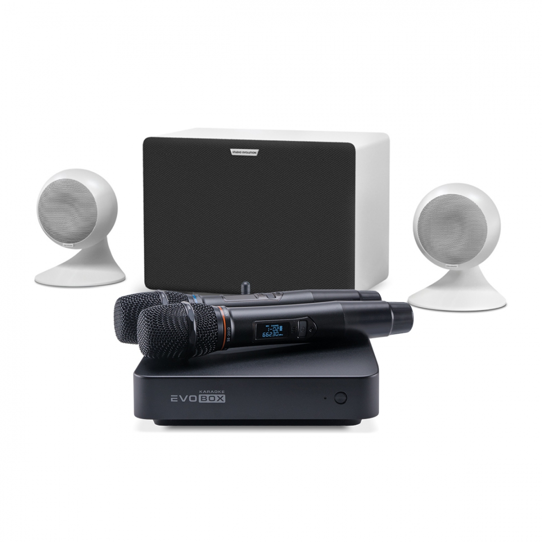караоке-комплект EVOBOX Classic + EvoSound Sphere 2.1 в Липецке