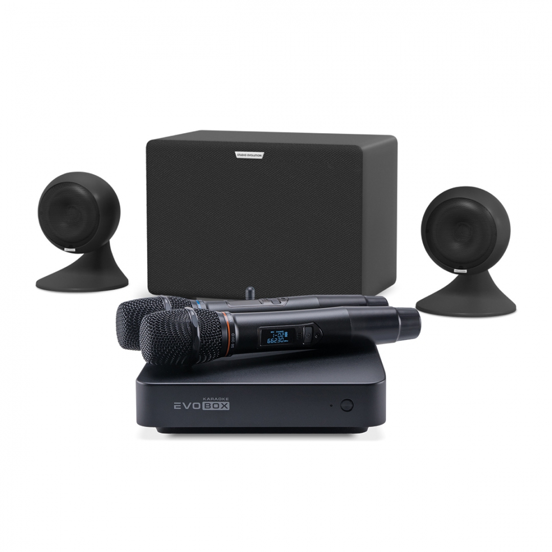 караоке-комплект EVOBOX Plus + EvoSound Sphere 2.1 в Липецке