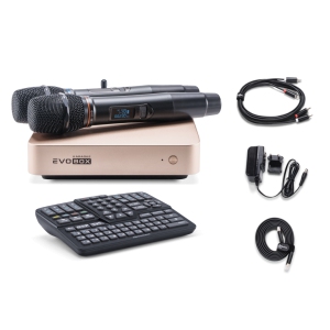 EVOBOX Classic караоке-система для дома в Липецке